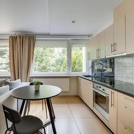 Cozy Terrace City Center Parking Apartment *